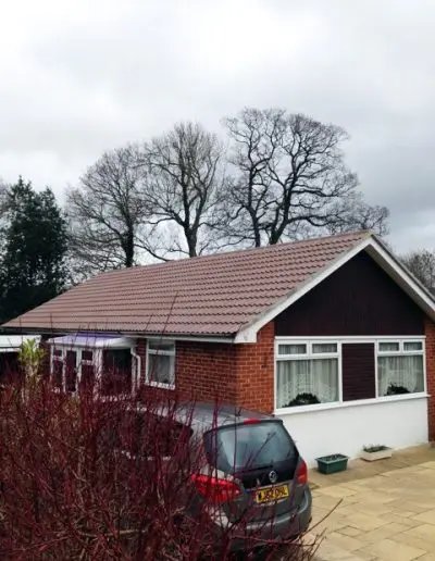 Bungalow roof